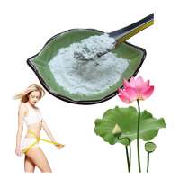 High Quality Lotus Leaf Extract Powder 10% 50% Nuciferine 98%