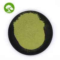 Wholesale Organic barley grass powder best price