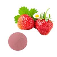 Longze Supply Raw Material strawberry fruit powder strawberry juice powder