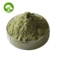 Factory Supply Natural Barley Grass Juice Powder Green barley powder in bulk