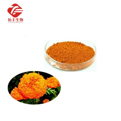 Marigold Flower Extract powder Lutein 5% -90% , zeaxanthin 5% -60%