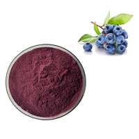 High quality 100% water soluble Vaccinium corymbosum Blueberry Juice Fruit Powder