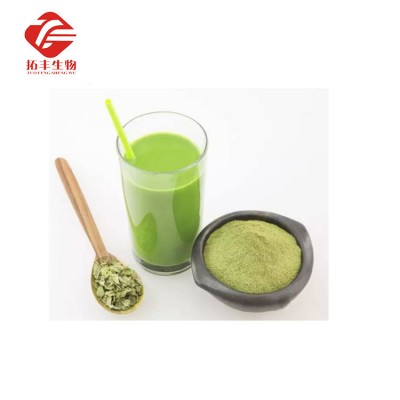 Manufacturer Sales the best price Moringa Leaf Powder  from China