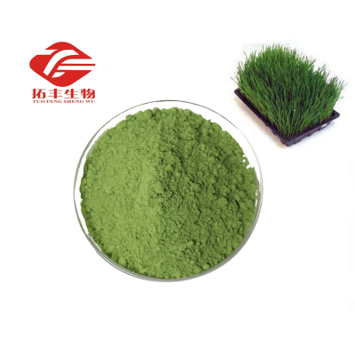 Best whole  high quality  Manufacturer Sales Barley Grass powder barley grass juice powder