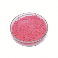 Raspberry Berry Powder Raspberry Fruit Powder Raspberry Extract