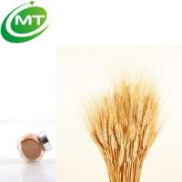 Factory supply organic wheat germ Powder