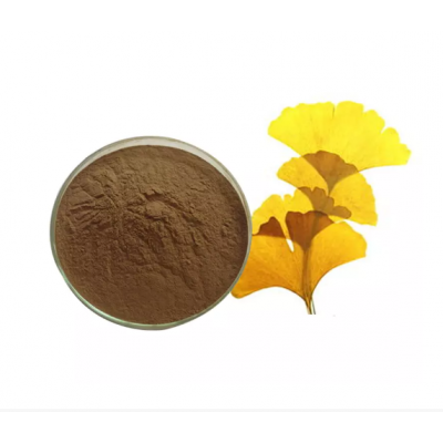 100% Natural Flavonoids ginkgo biloba extract pure plant extract