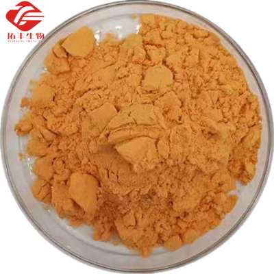 Wholesale Price Raw Material Folic Acid Powder for Supplement Food Grade Vitamin B9 Folic Acid in Bulk