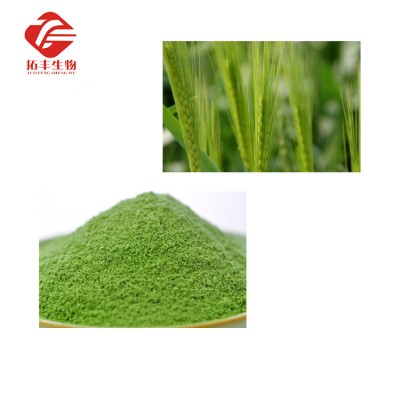 2019 new product  Wheat Grass powder powder Wheat Grass juice powder from China