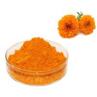 Top Quality Natural Marigold Flower Extract Lutein Ester 10% Hplc