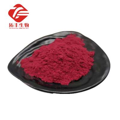 China factory sell the hiigh quality Low Price Cranberry Extract  Cranberry Fruit juice powder