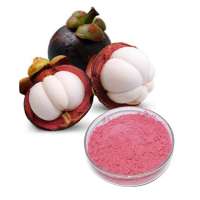 100% Natural Rich Vitamin C Freeze Dried Mangosteen Fruit Powder